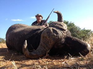 Newsletter 24 Buffalo 2