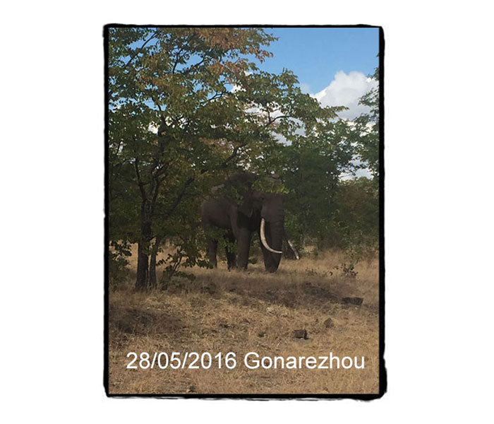 Newsletter-55-pic-10