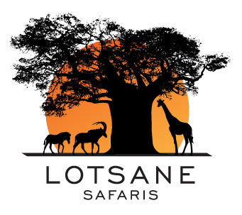 Lotsane Safaris Logo Lotsane Safaris | Hunt in Botswana